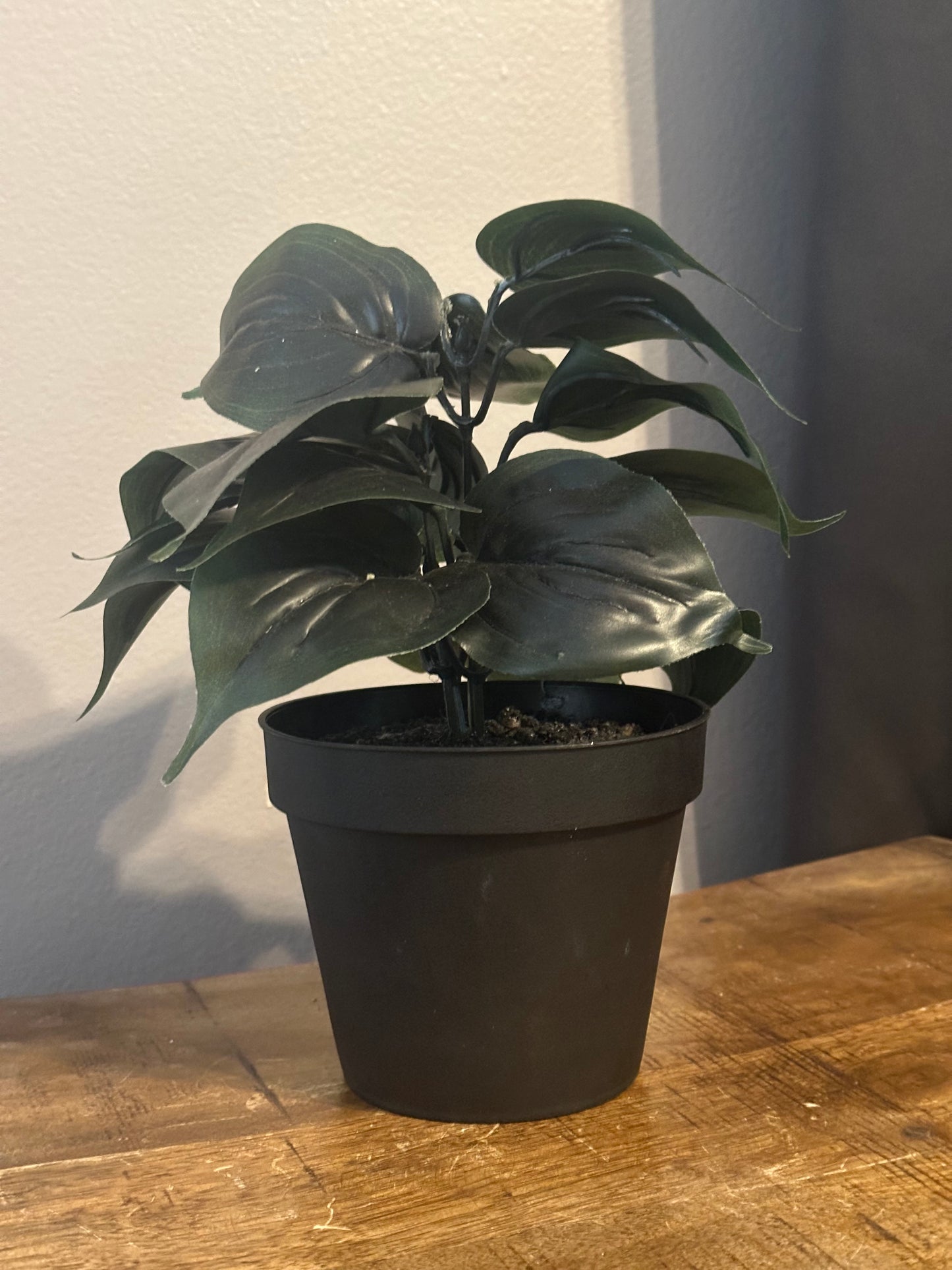 Faux Plant