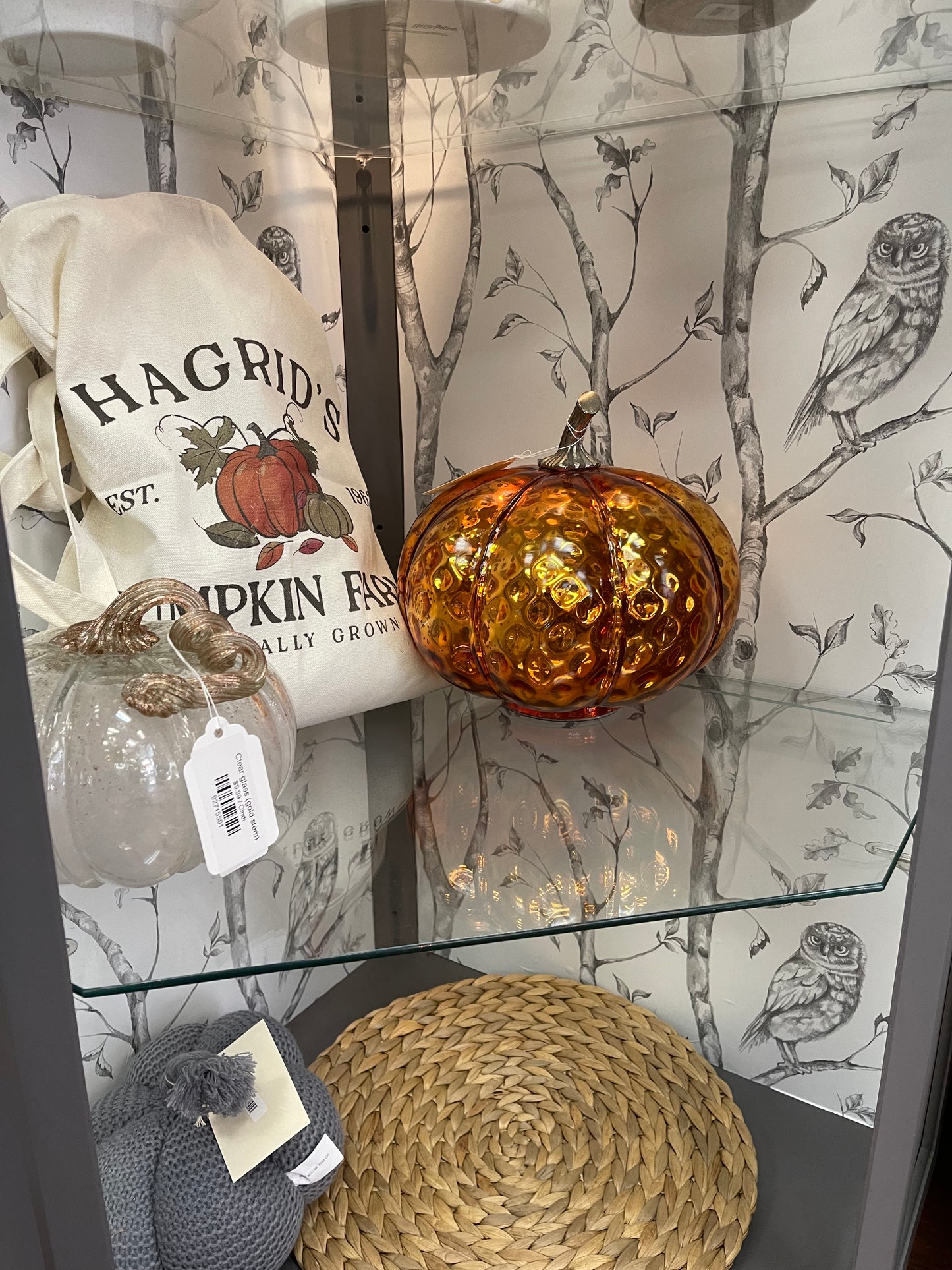 Hedwig Display Case