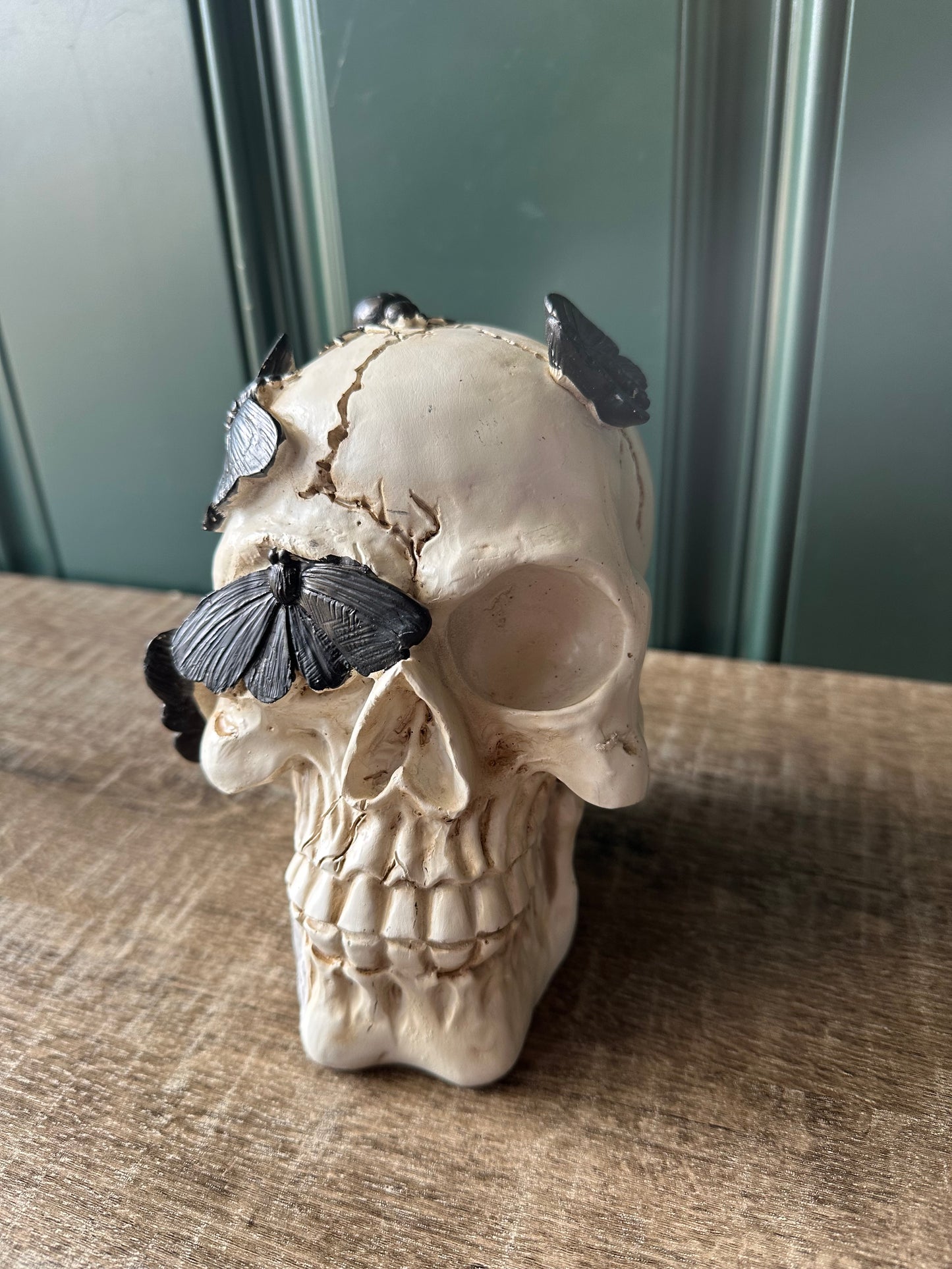 BUTTERFLY SKULL