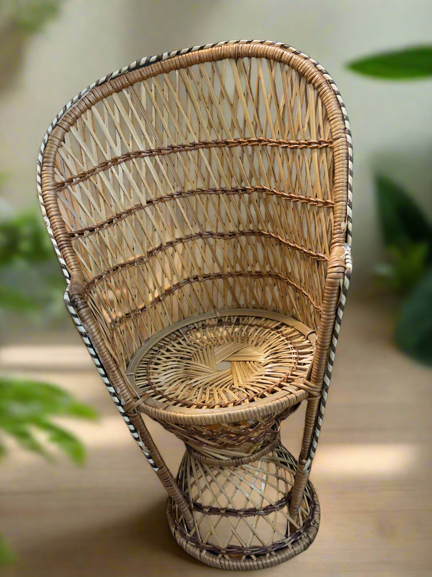 Rattan Plant Chair