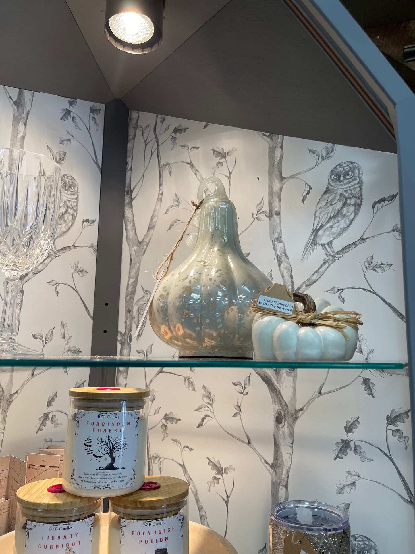Hedwig Display Case