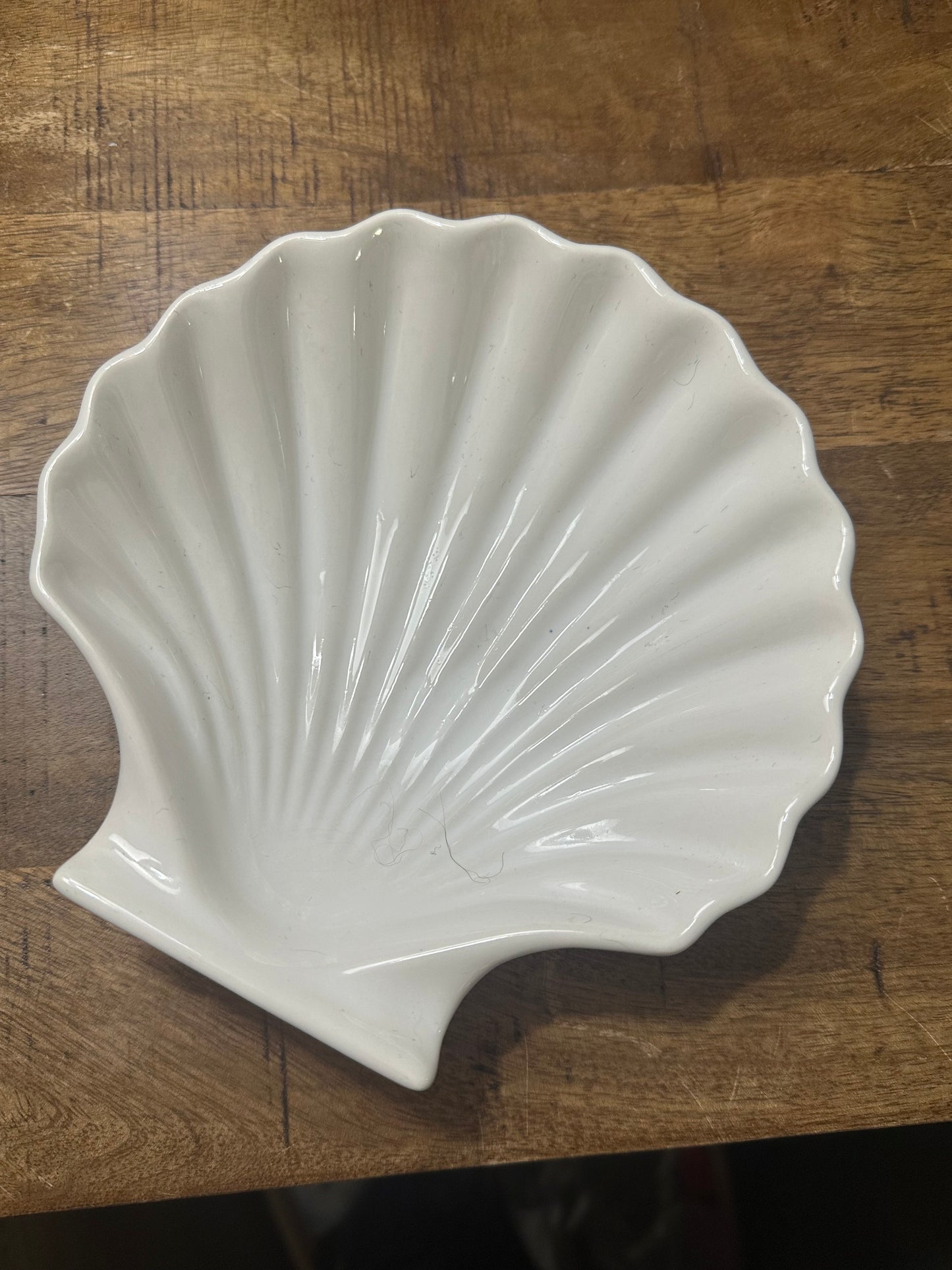Shell Dish