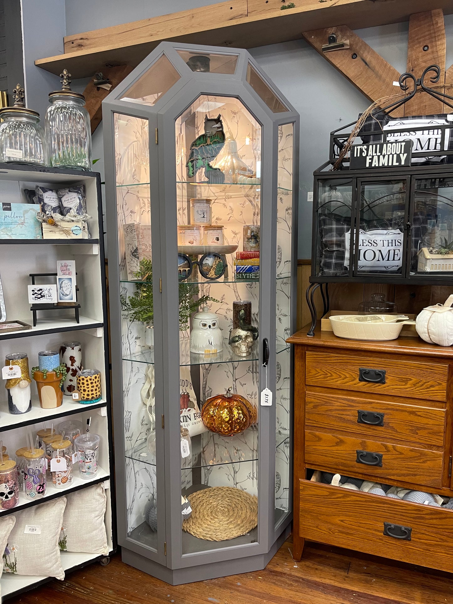 Hedwig Display Case