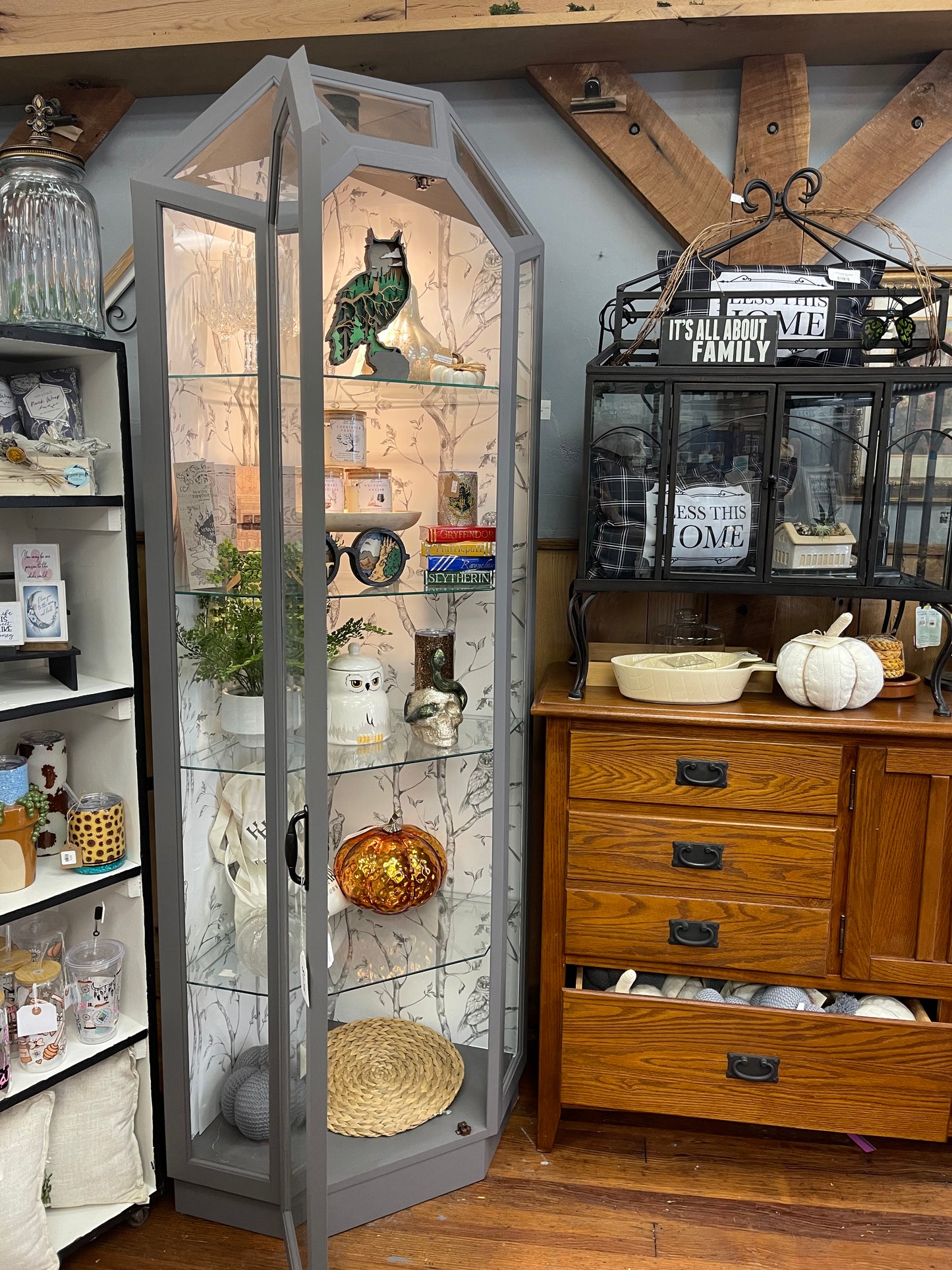 Hedwig Display Case
