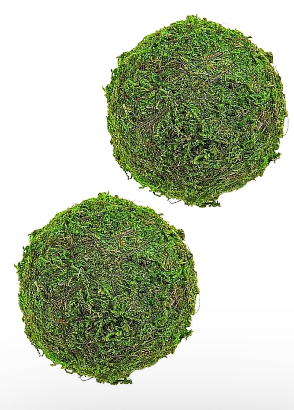 Moss Balls