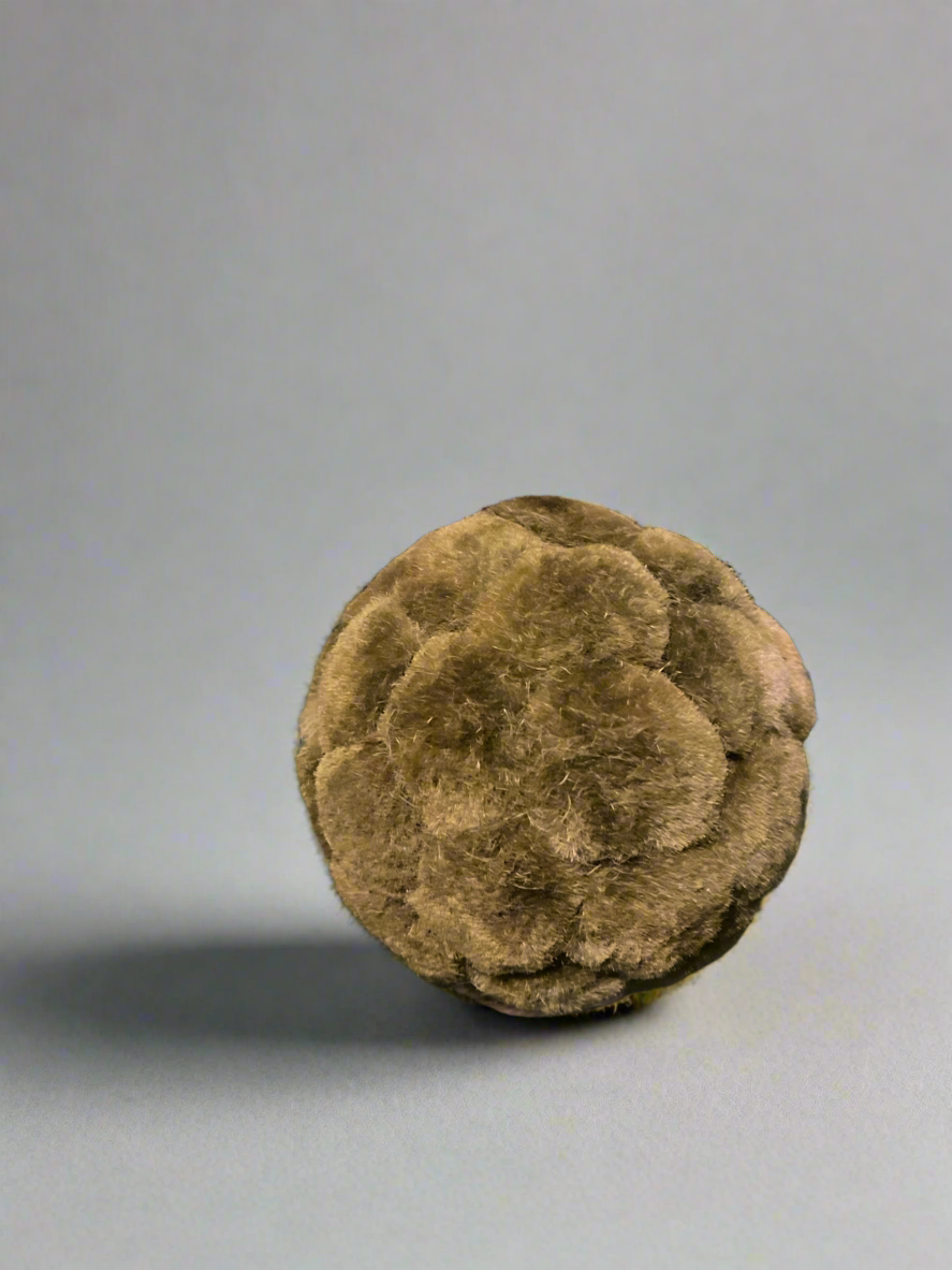 Moss Ball