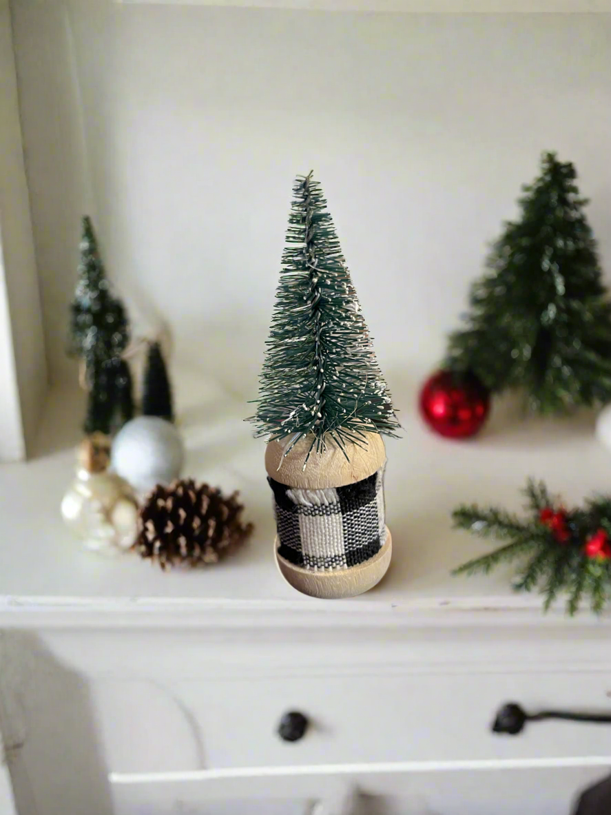 Bottle Brush Tree Arrangements