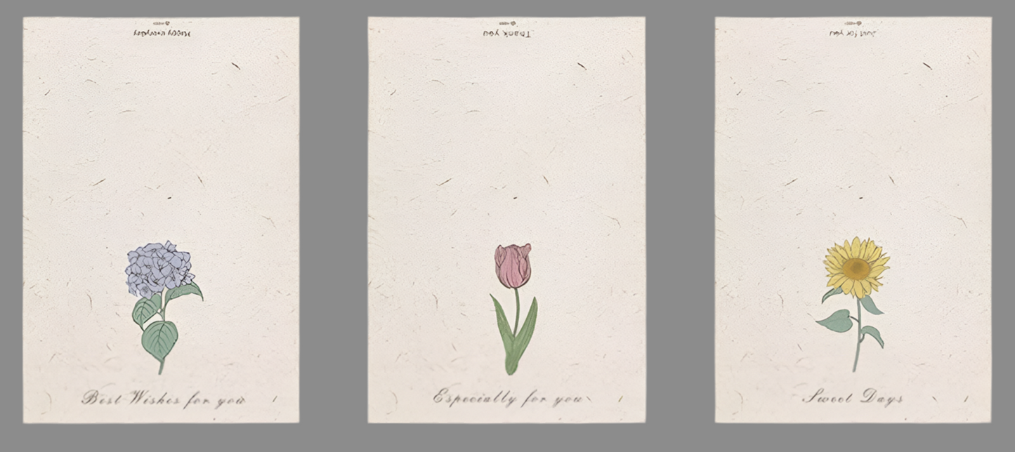 Blank Note Cards