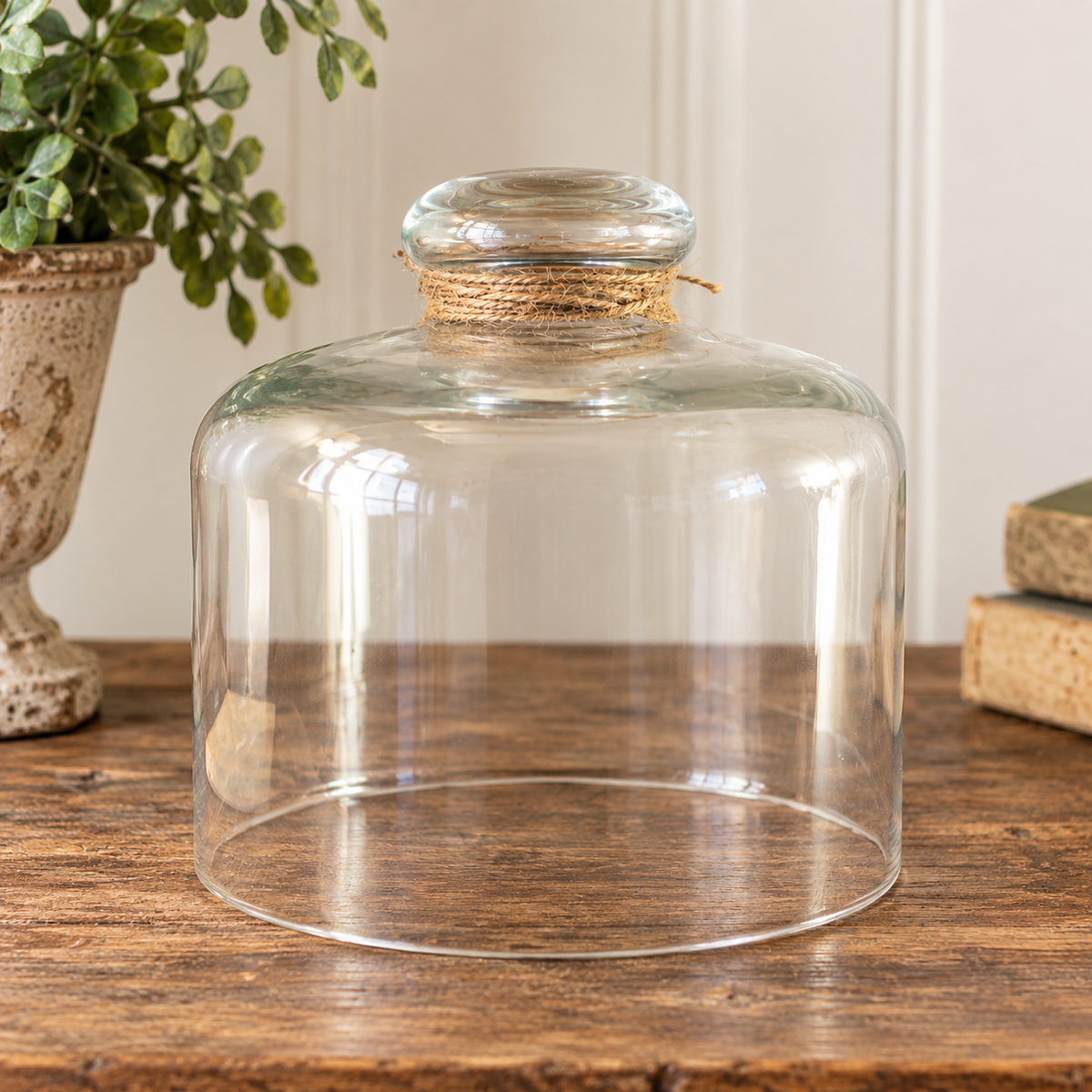 Clear Glass Cloche Display Dome with Knob Handle