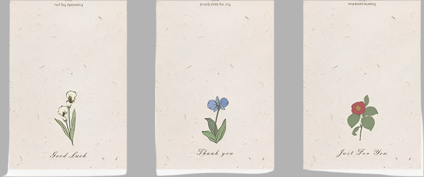 Blank Note Cards