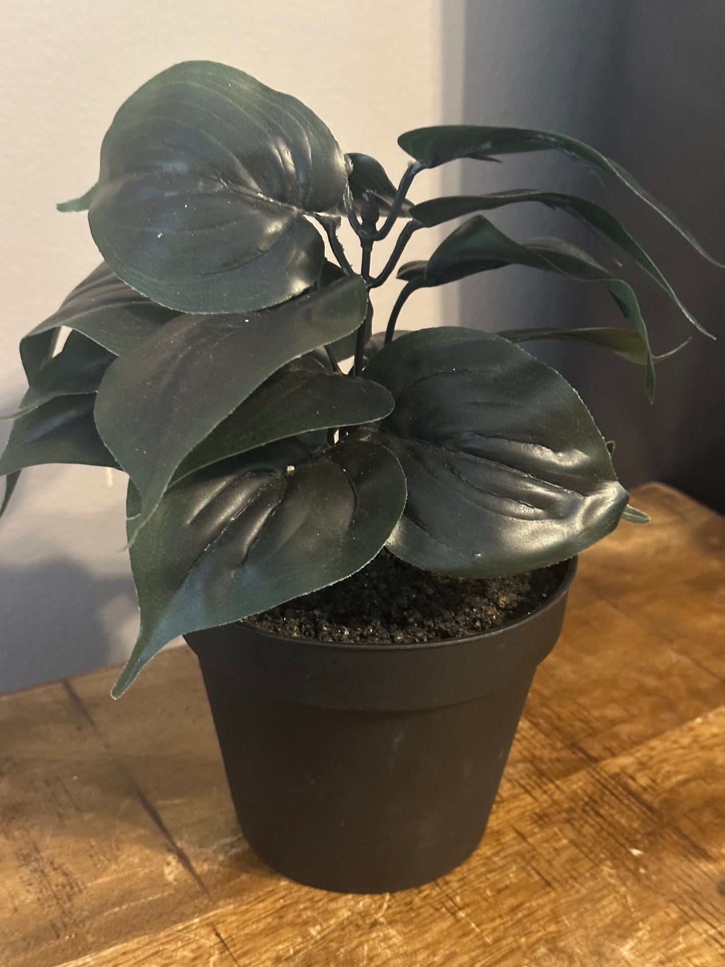 Faux Plant