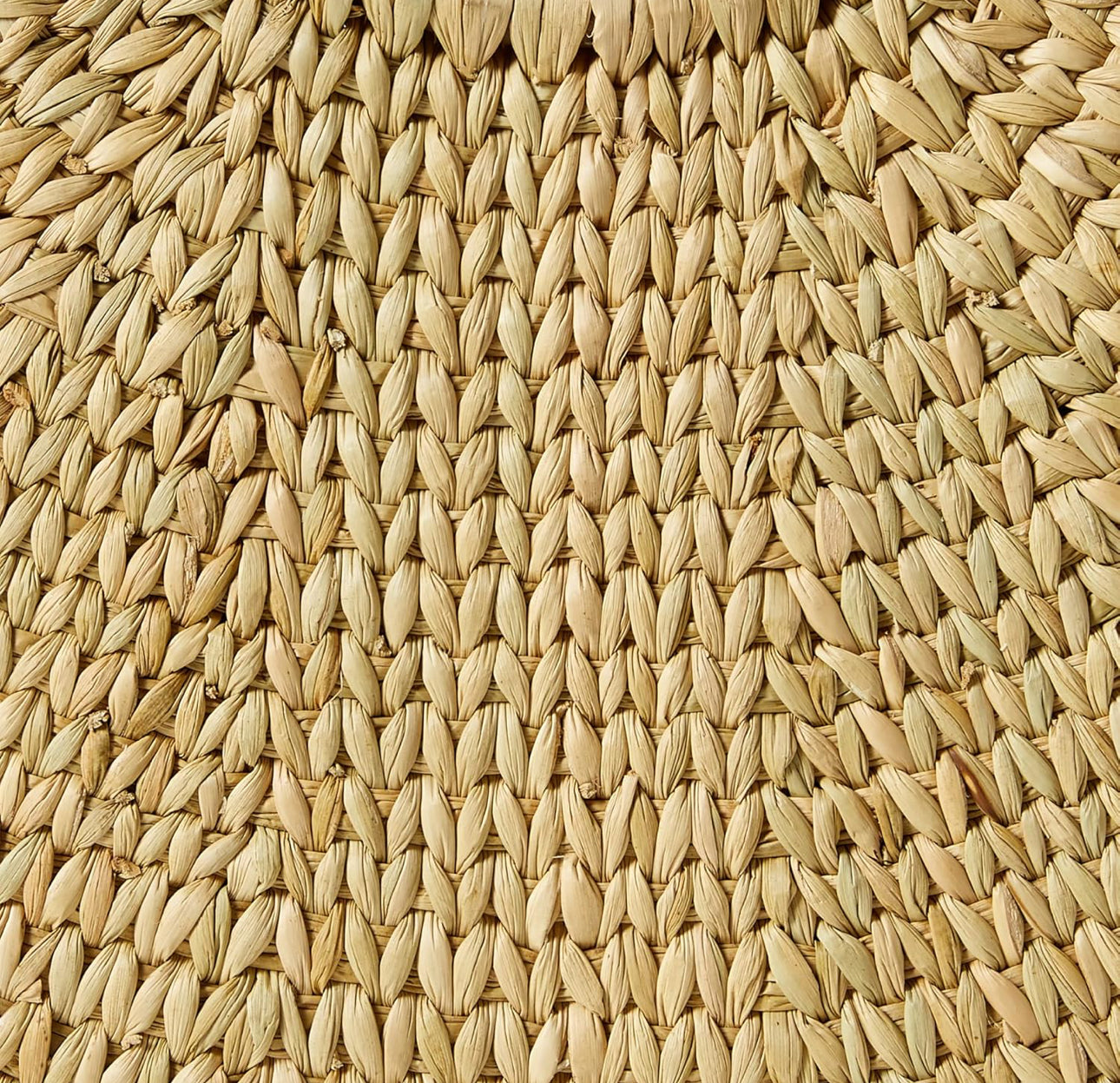 Jileen Top Handle Straw Bag