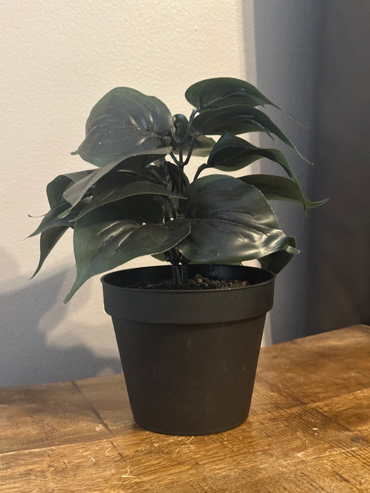 Faux Plant