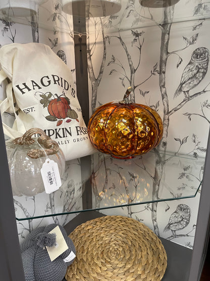 Hedwig Display Case