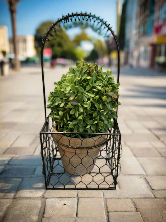 Faux Boxwood Planted Arrangement