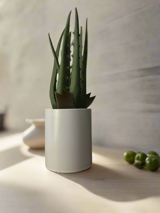 Faux Aloe Plant