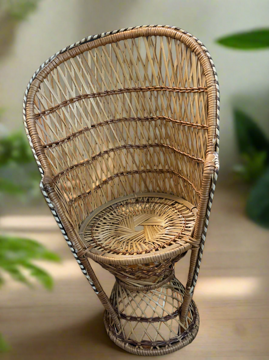 Rattan Plant Chair