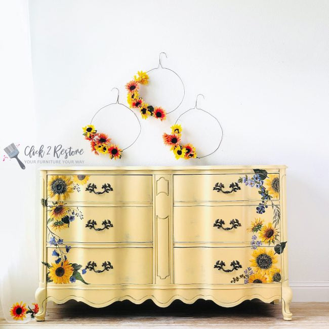 https://cdn.shopify.com/s/files/1/0536/2640/5056/products/2a83b6f0-e0bd-5e65-8db9-7d3c0f524860.jpg?v=1679274908