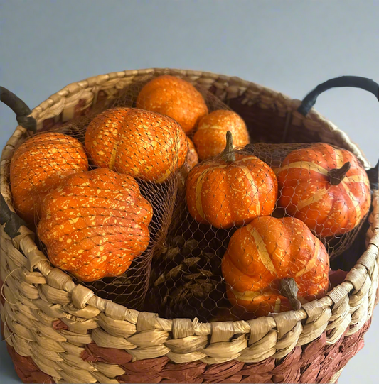 Pumpkin & Cones Bowl Filler