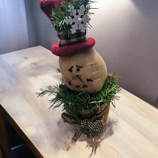 Mr. Snow