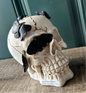 BUTTERFLY SKULL