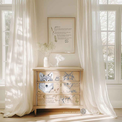 https://www.redesignwithprima.com/wp-content/uploads/2021/01/646226-gray-wolf.jpg