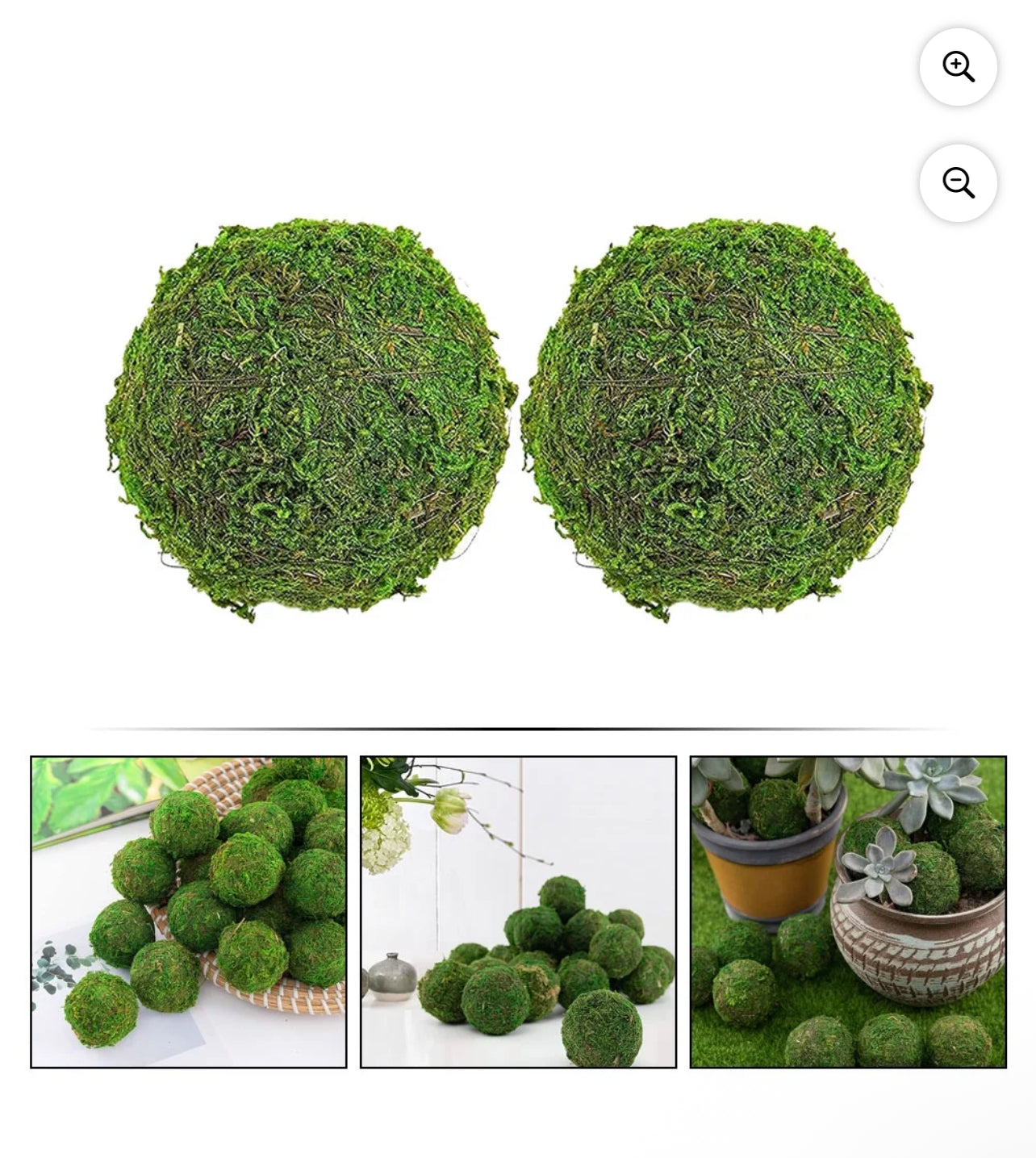Moss Balls