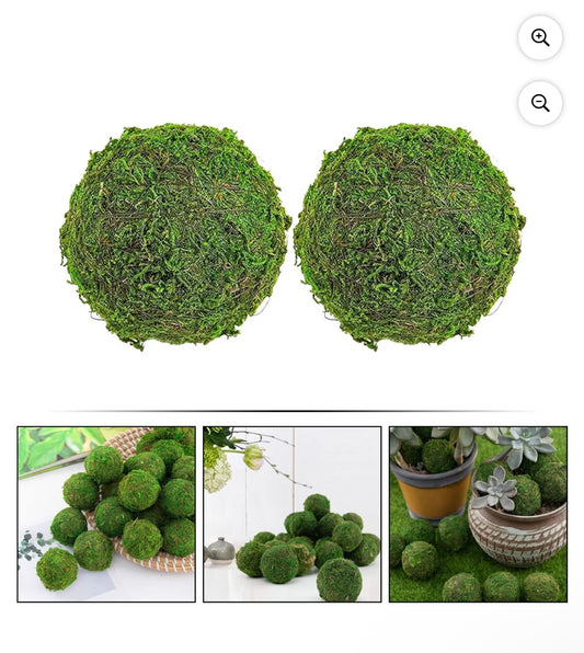 Moss Balls