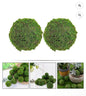 Moss Balls