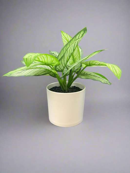Faux Plant