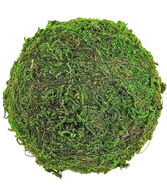 Moss Balls