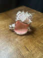 Painted Seashell