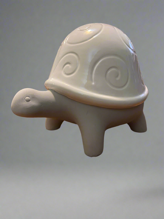 Garden Turtle