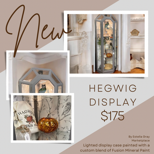 Hedwig Display Case