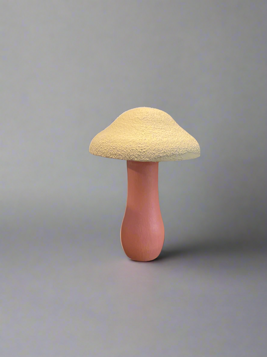 White Top Pink Mushroom (Hand painted)