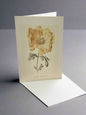 Happy Birthday Vintage Floral Card