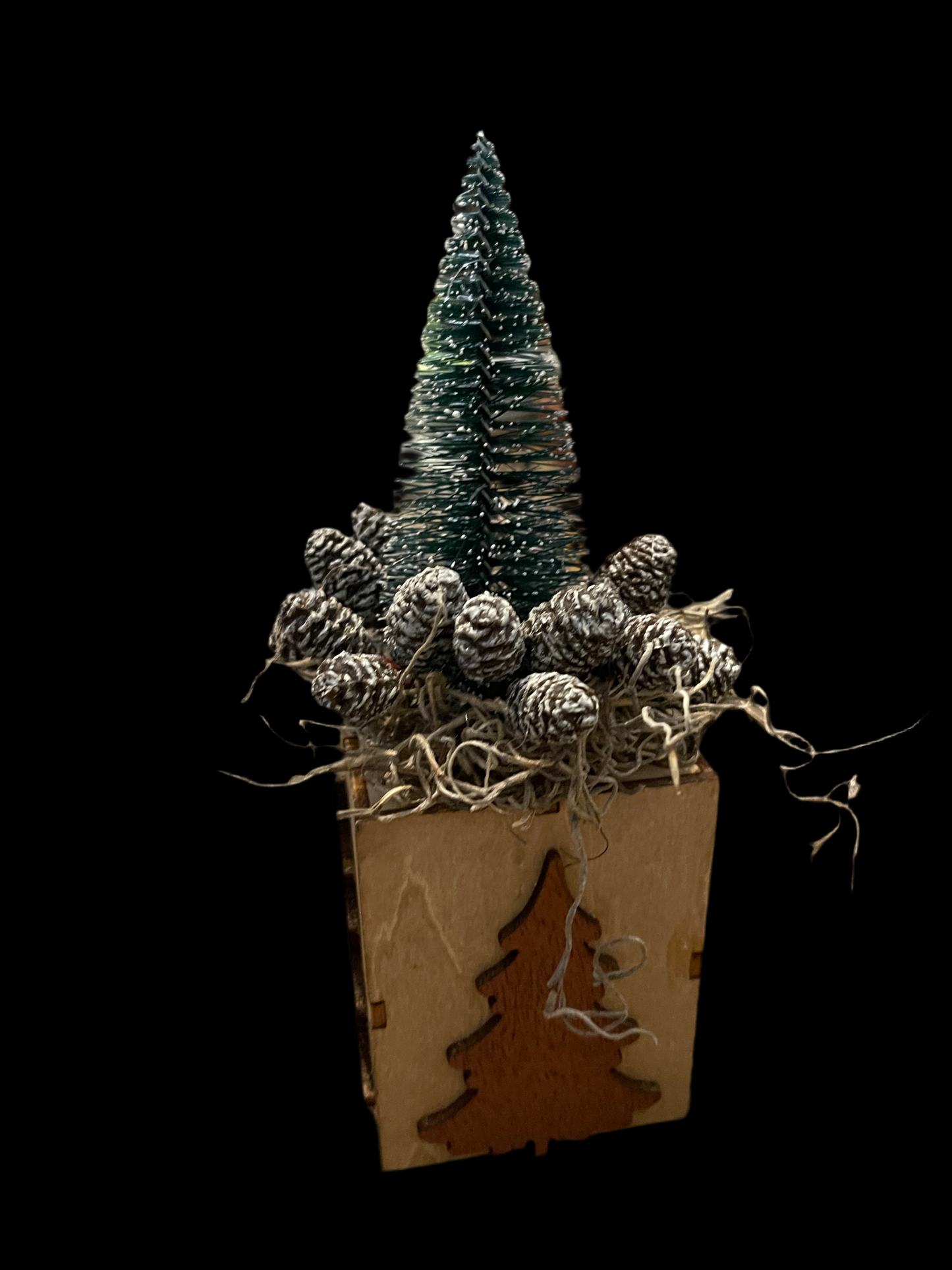 Bottle Brush Tree Arrangements