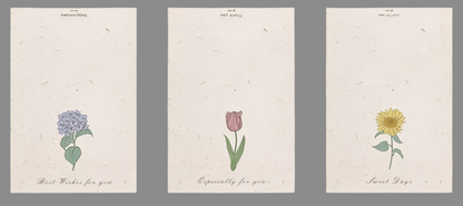Blank Note Cards