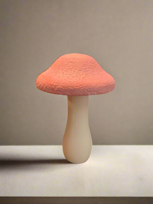 Pink Mushroom (Hand painted)