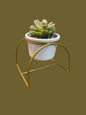 Faux Succulent