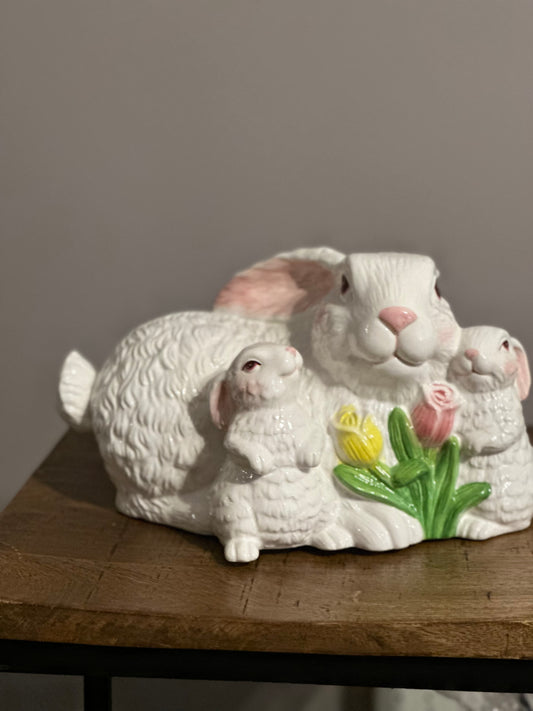 Mother Bunny & Babies