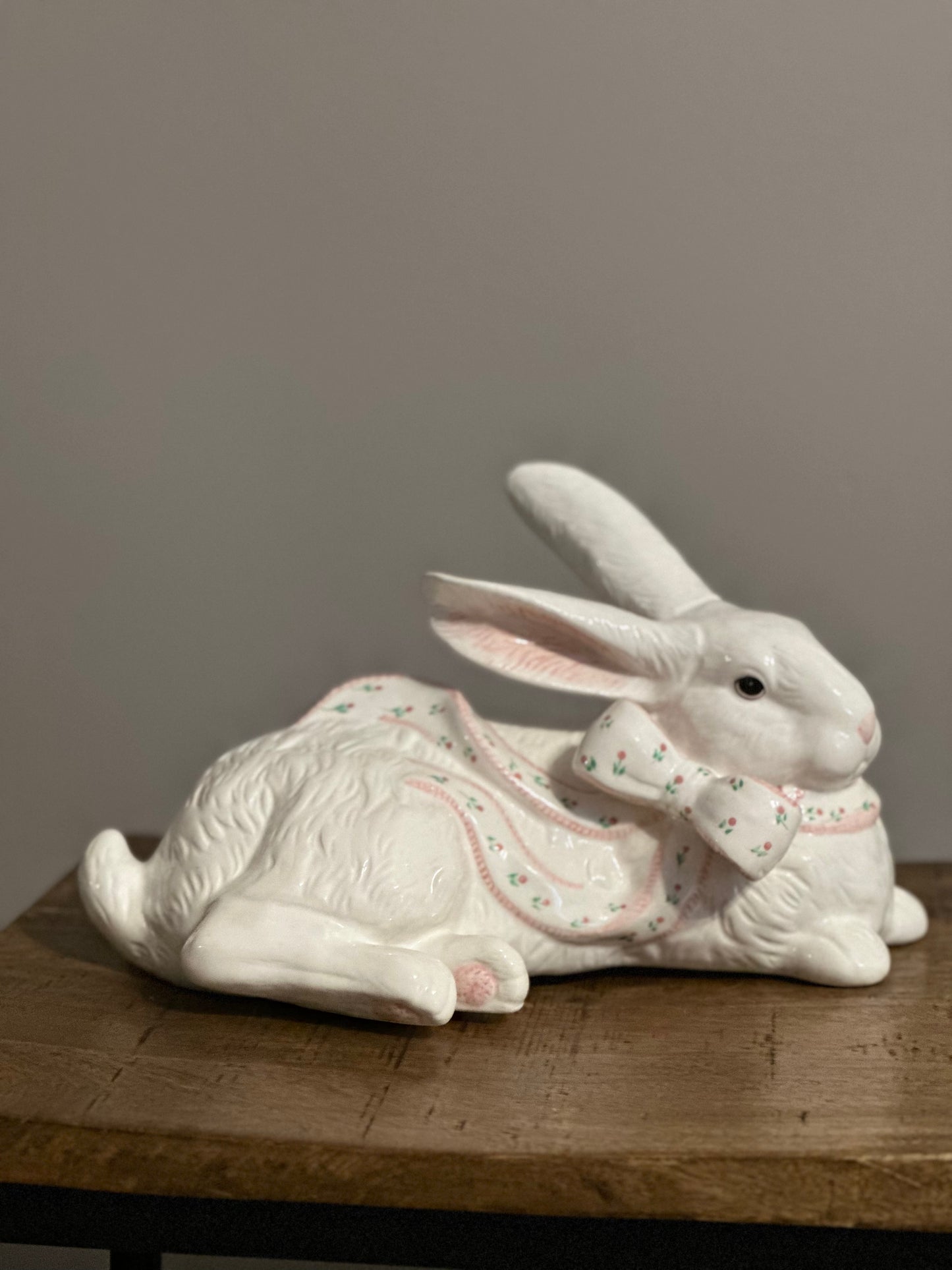 Bunny on a Break