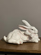 Bunny on a Break