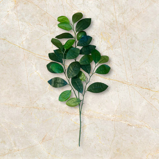 Lime Branch