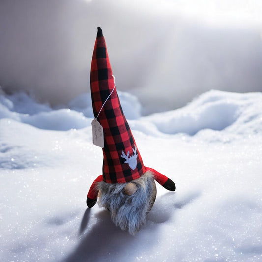 Gnome With Santa hat