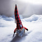 Gnome With Santa hat