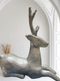 Deer decor
