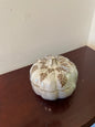 Pumpkin Canister