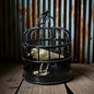 Crow in a Cage