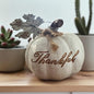 Thankful Pumpkin